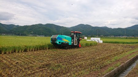 稲WCSの収穫始まる